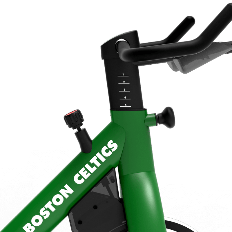 Lit Bike Celtics Edition